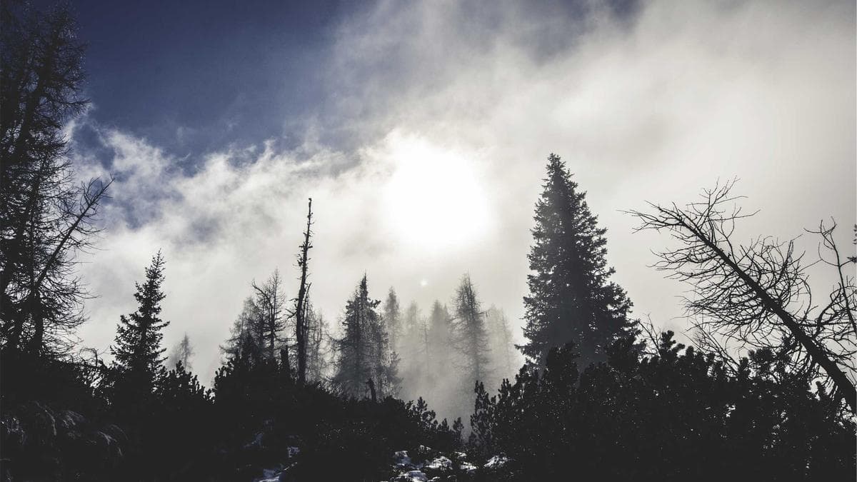 پاکستان نے انگلینڈ کو شکست دے کر ٹی ٹوینٹی سیریز جیت لی — بابر کی یادگار سنچری