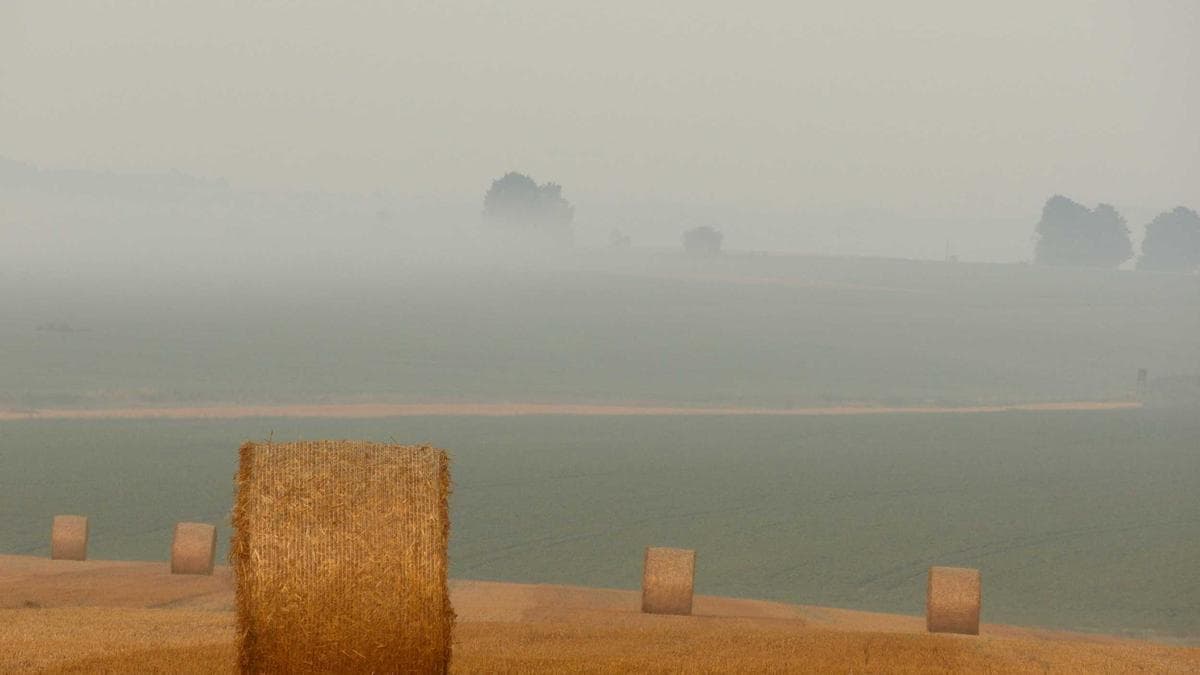 تعلیم پر سرمایہ کاری — پاکستان کا سب سے ضروری قومی فریضہ